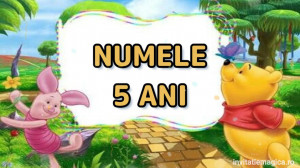Invitatie Video tematica Winnie the Pooh cod WIN01 - Img 6