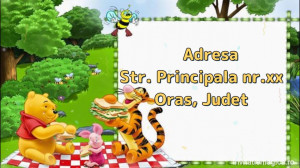 Invitatie Video tematica Winnie the Pooh cod WIN03 - Img 4