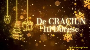 Felicitare cu tematica de Craciun Gratuita sau personalizata CF29