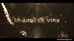 Felicitare video personalizata Anul Nou Revelion HNY24 - Img 2