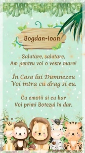 Invitatie Video Botez tematica pentru Baieti cod BTP59