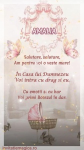 Invitatie Video Botez tematica pentru Fete cod BTP29
