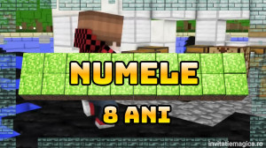 Invitatie video cu tematica Minecreaft cod MC02 - Img 6