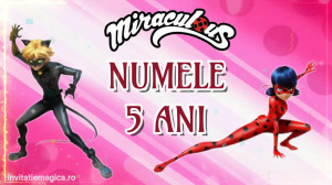 Invitatie Video Miraculous Buburuza si Motan Noir cod MIR06 - Img 4