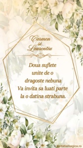 Invitatie video personalizata pentru Nunta cod NUN41
