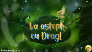 Invitatie Video tematica Tinkerbell cod TINK01 - Img 2
