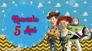 Invitatie Video tematica Toy Story cod TS02 - Img 2