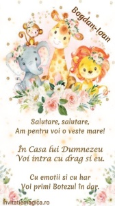 Invitatie Video Botez tematica pentru Unisex cod BTP60
