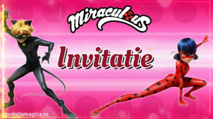 Invitatie Video Miraculous Buburuza si Motan Noir cod MIR06