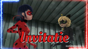 Invitatie Video Miraculous Buburuza si Motan Noir cod MIR10