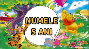 Invitatie Video tematica Winnie the Pooh cod WIN03 - Img 6