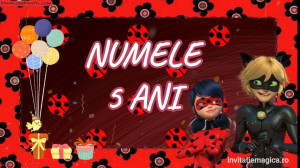 Invitatie Video Miraculous Buburuza si Motan Noir cod MIR01 - Img 3