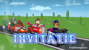 Invitatie Video Pow Patrol, Patrula catelusilor cod PP08