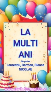 Felicitare Video cu tematica Baloane BALM19