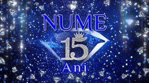 Invitatie Video Diamante DI02