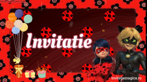 Invitatie Video Miraculous Buburuza si Motan Noir cod MIR01