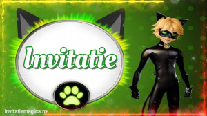 Invitatie Video Miraculous Buburuza si Motan Noir cod MIR04