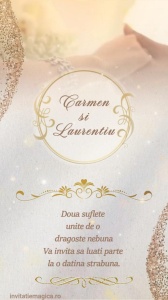 Invitatie video personalizata pentru Nunta cod NUN24
