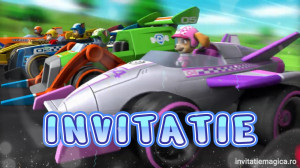 Invitatie Video Pow Patrol, Patrula catelusilor cod PP05