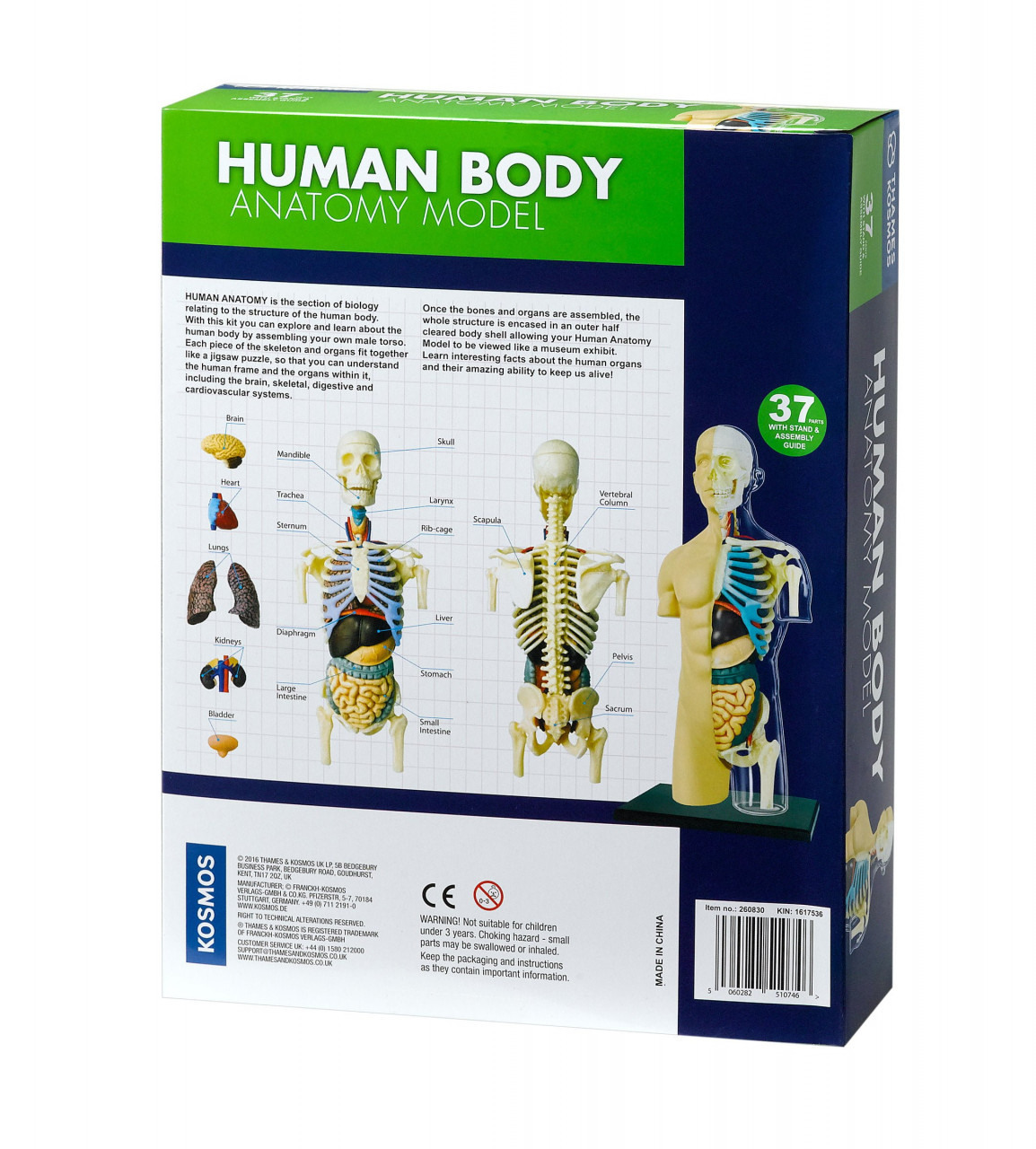 Kit STEM Anatomia corpului uman