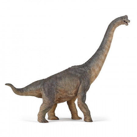 PAPO FIGURINA DINOZAUR BRACHIOSAURUS - Img 1