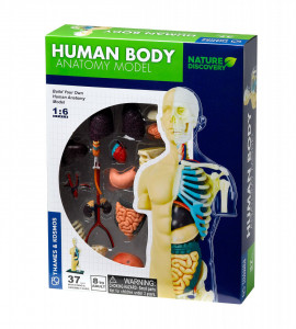 Kit STEM Anatomia corpului uman - Img 1