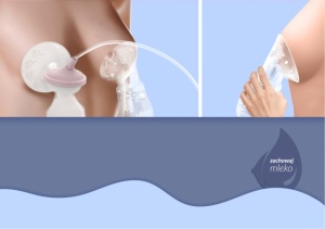 Neno Leite – colector pentru lapte - Img 6