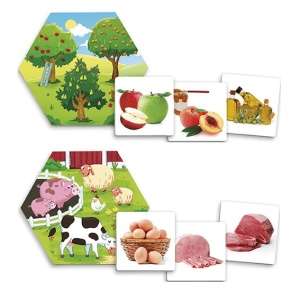 Joc pentru dezvoltarea cunostintelor despre natura: De unde provin alimentele? - Img 3