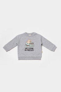 Set hanorac si pantaloni, Two thread, 100%bumbac organic - Gri, BabyCosy