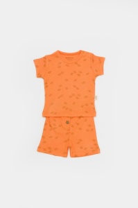 Set tricou cu pantaloni Printed, portocaliu, BabyCosy, 50%bumbac+50% modal