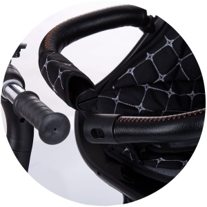 Tricicleta Chipolino Pegas cu sezut reversibil anthracite - Img 16