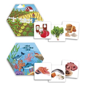 Joc pentru dezvoltarea cunostintelor despre natura: De unde provin alimentele? - Img 4
