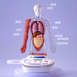 Joc STEM Anatomia umana, TopBright - Img 4