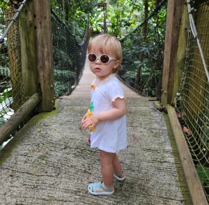 Ochelari de soare Beaba 9-24 luni Joy Misty Green - Img 3