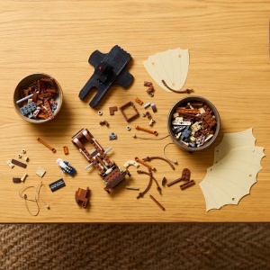 Masina zburatoare a lui Leonardo da Vinci - Img 3