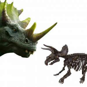 Set creativ Dino si excavarea scheletului 2 in 1 - Triceratops - Img 5