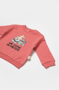 Set hanorac si pantaloni, Two thread, 100%bumbac organic - Rose, BabyCosy