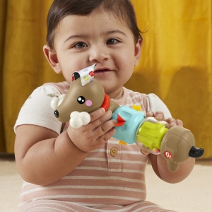 FISHER PRICE JUCARIE CATELUS DE ACTIVITATE PENTRU BEBELUSI CLICK AND SPIN - Img 3