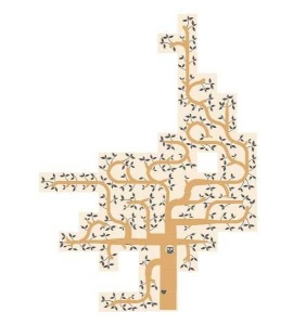 Joc de cooperare in varianta de buzunar Visam un copacel, Londji - Img 2
