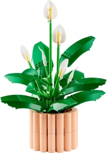LEGO BOTANICALS CRINUL PACII 11504 - Img 3