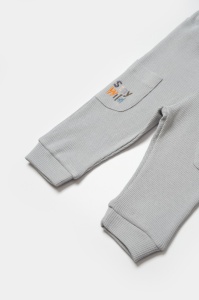 Set bluzita cu pantalon Lion, gri, BabyCosy, 100%bumbac
