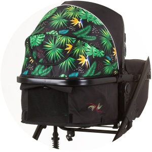 Carucior Chipolino Amore 2 in 1 jungle - Img 10