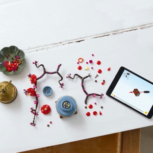 Flori de prun - Img 4