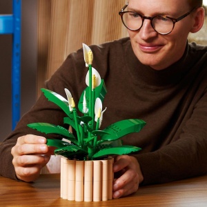 LEGO BOTANICALS CRINUL PACII 11504 - Img 4
