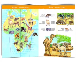 Puzzle observatie Animalele lumii, Djeco - Img 2