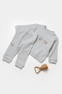 Set bluzita cu pantalon Lion, gri, BabyCosy, 100%bumbac
