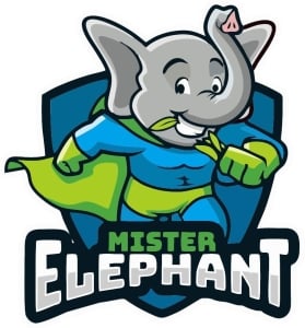 Mister Elephant