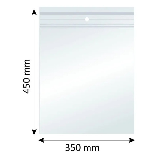 Plicuri Ziplock, Polietilena, 350x450mm, 40µm, 100 Buc/Set