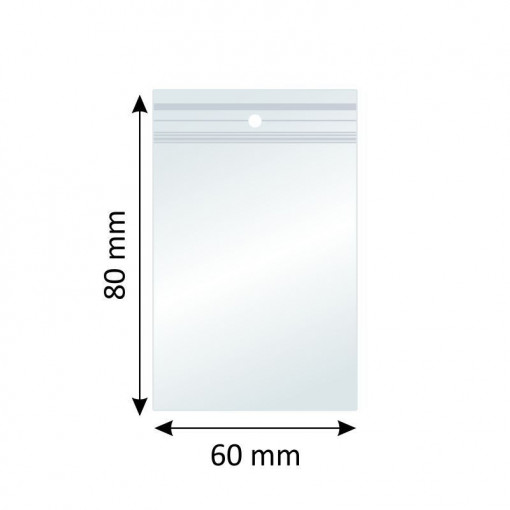 Plicuri Ziplock, Polietilena, 60x80mm, 40µm, 100 Buc/Set