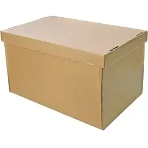 Cutie pentru Arhivare Cu Capac, 538x382x275mm,, Carton, CO5, Natur - Img 2